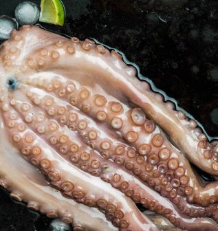 whole-seafood-octopus-with-ice-and-lime-2022-02-01-23-41-26-utc.jpg